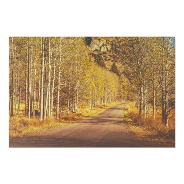 Póster Ruta de Oro (Anverso)