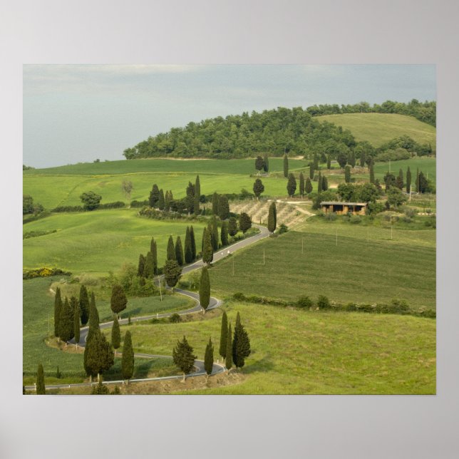 Póster Ruta de Pienza a Montepulciano, (Frente)