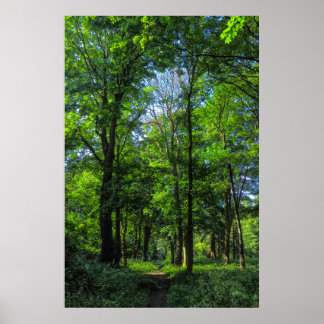 Póster Ruta de Woodland. Bosque de Blackweir, Cardiff, Ga