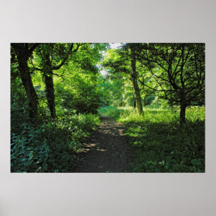 Póster Ruta de Woodland. Bosque de Blackweir, Cardiff, Ga