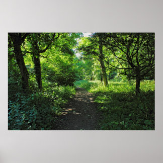 Póster Ruta de Woodland. Bosque de Blackweir, Cardiff, Ga