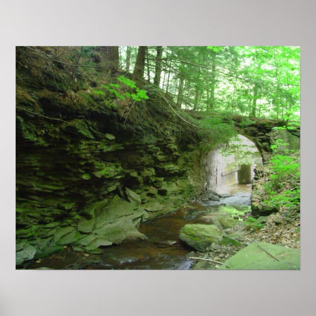 Póster Ruta del águila dorada (Frente)