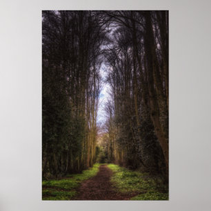 Póster Ruta del árbol de levas