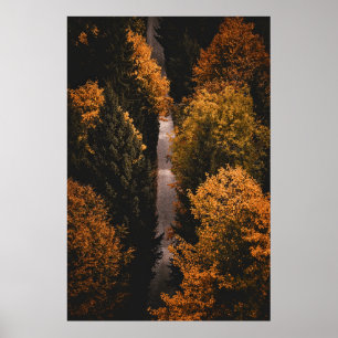 Póster Ruta del bosque otoñal