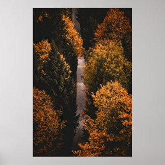 Póster Ruta del bosque otoñal