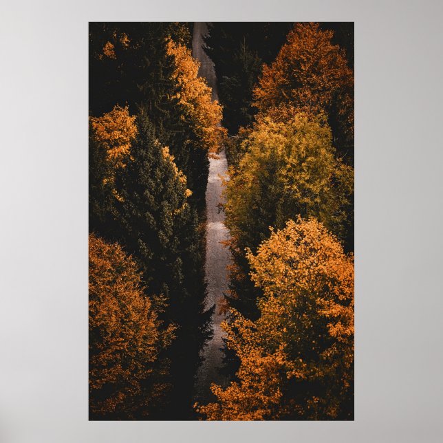 Póster Ruta del bosque otoñal (Frente)