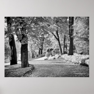 Póster Ruta del lago Como Monocromo