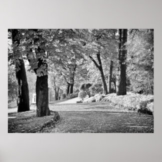 Póster Ruta del lago Como Monocromo