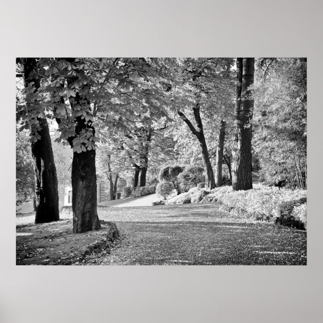Póster Ruta del lago Como Monocromo (Frente)