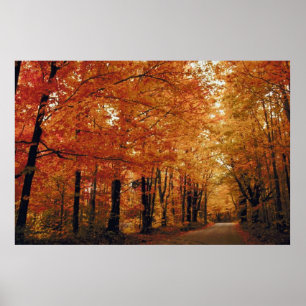 Póster Ruta del Otoño Dorado