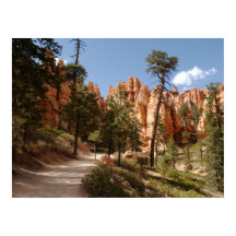 Ruta del Parque Nacional del Cañón Bryce