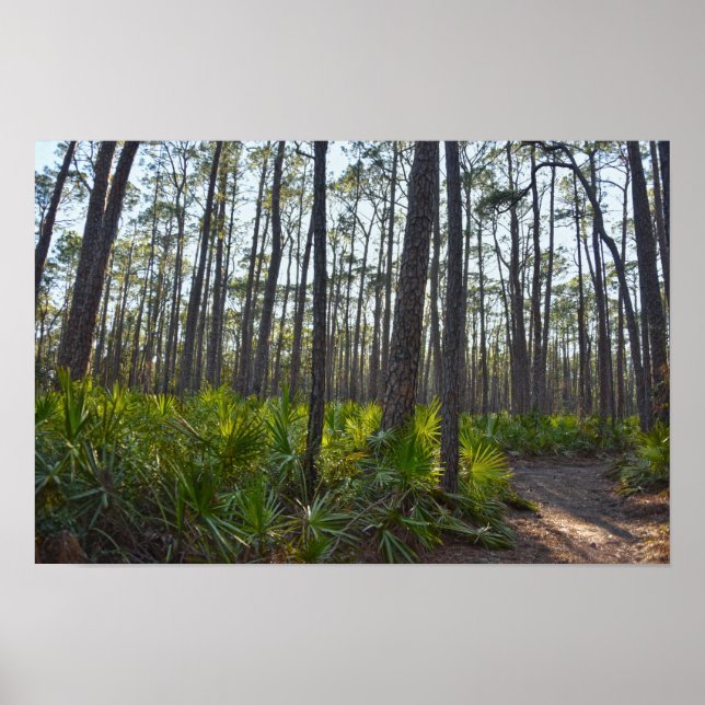 Póster Ruta del Parque Shell Mound, Isla Dauphin, Al (Frente)
