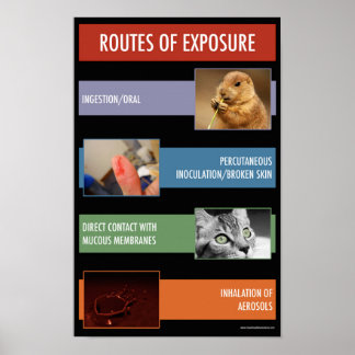 Póster Ruta del Poster de información de seguridad de exp