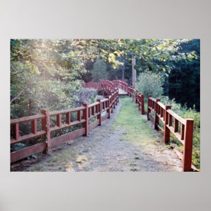 Póster Ruta desconocida