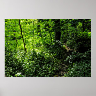 Póster Ruta en el bosque