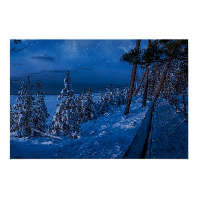 Póster Ruta forestal en la noche de invierno (Anverso)
