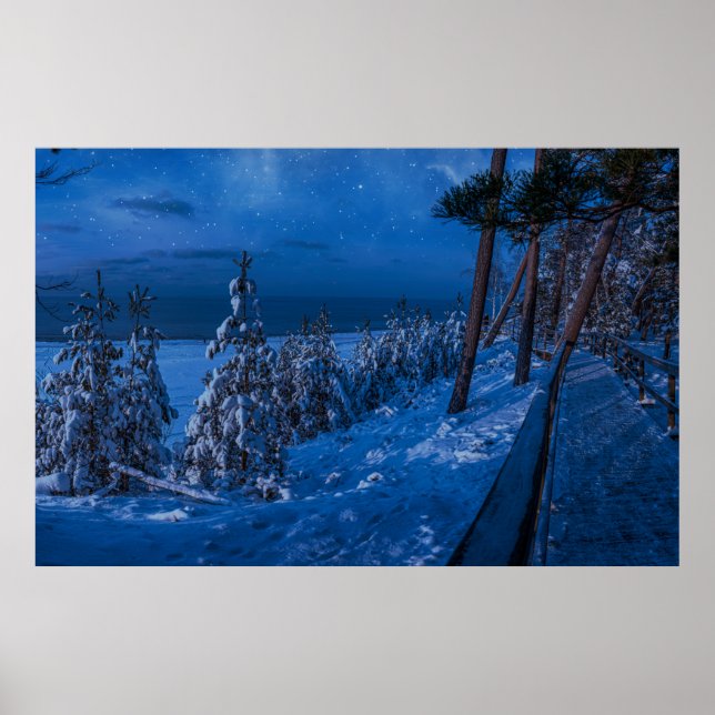 Póster Ruta forestal en la noche de invierno (Frente)