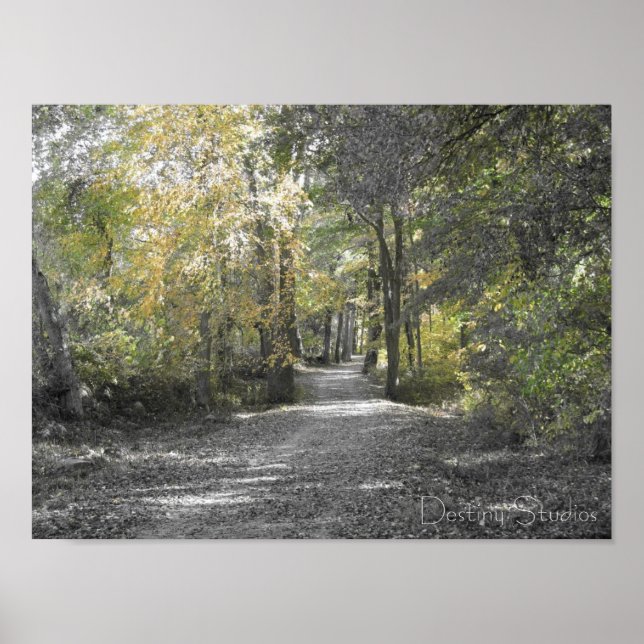 Póster Ruta larga (Frente)