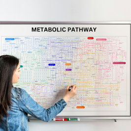 Póster Ruta metabólica de la célula