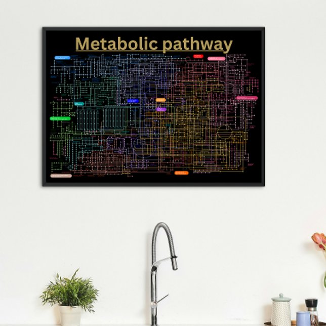 Póster Ruta metabólica negra de la célula (Subido por el creador)