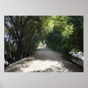 Póster Ruta sombría