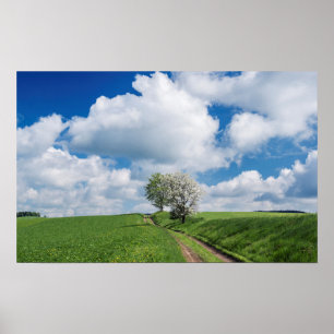 Póster Ruta Sucia y Árboles de Apple