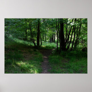 Póster Ruta verde