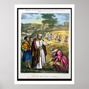 Póster Ruth en el campo de Boaz, de una biblia impresa