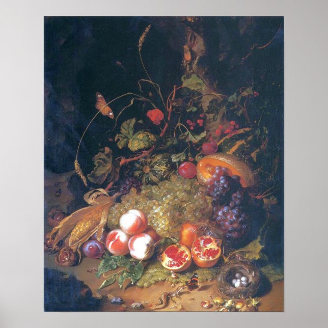 Póster Ruysch - Todavía La Vida Con Fruta, Un Nido, Lizar (Frente)