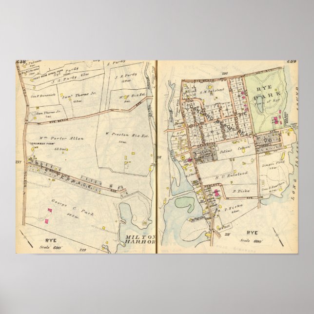 Póster Rye 238239 (Frente)