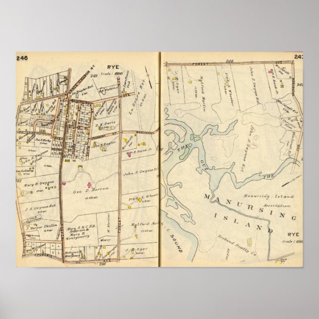 Póster Rye 246247 (Frente)