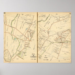 Póster Rye 260261, Harrison