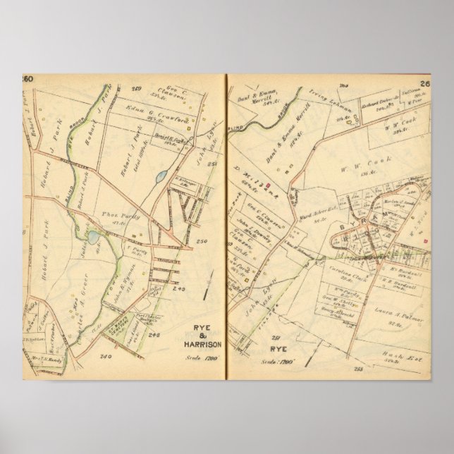 Póster Rye 260261, Harrison (Frente)