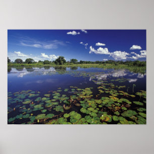 Póster S.A., Brasil, Vías navegables en Pantanal