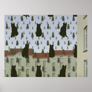 Póster s Gatos Poster básico grande