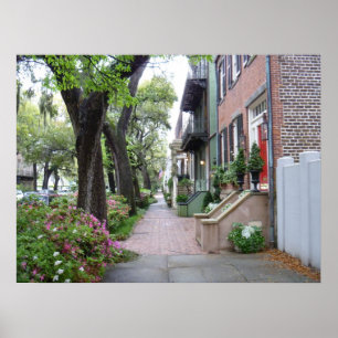 Póster Sabana vieja