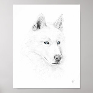 Póster Saber un Husky Siberiano Dibujando Ojos Azules