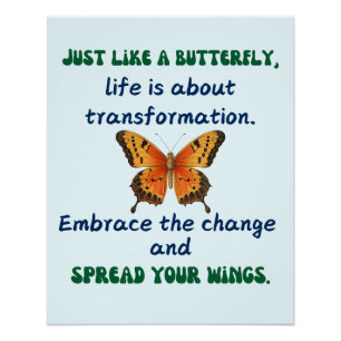 Póster Sabiduría de las mariposas: