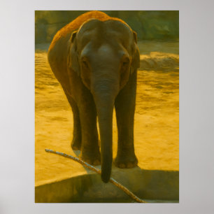 Póster Sabiduría del Elefante Dorado - Vida salvaje majes
