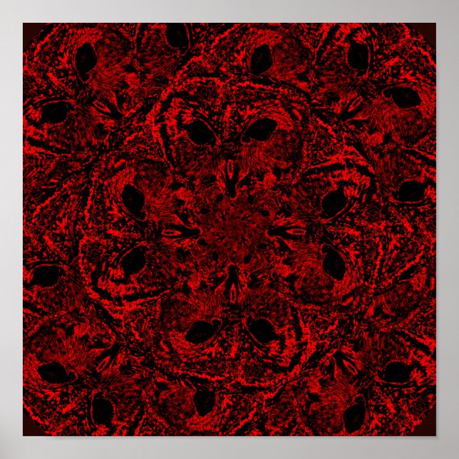 Póster Sabiduría infinita de búhos (Frente)