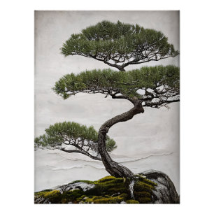 Póster Sabiduría silenciosa