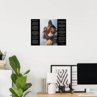 Póster Sabiduría y patos por el agua DESIDERATA