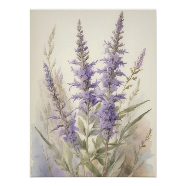 Póster Sabio ruso (Anverso)