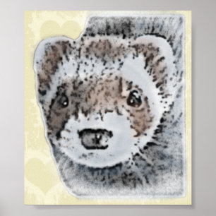 Póster Sable Ferret Picture