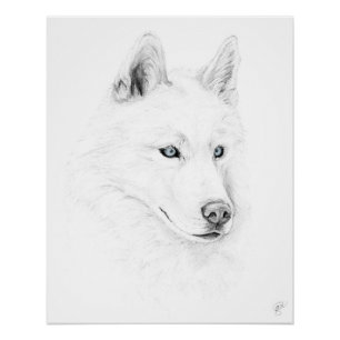 Póster Sable ojos azules del husky siberiano de un arte