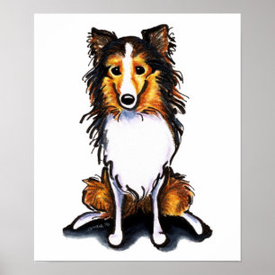 Póster Sable Sheltie Shetland Sheepdog Sit Bonito