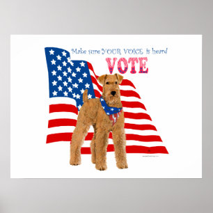 Póster Sacar la votación