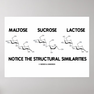 Póster Sacarosa de maltosa Lactosa Semejanzas estructural