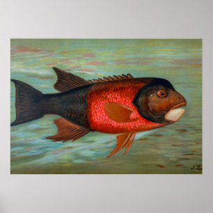 Póster Sacramento Pike por John L Petrie