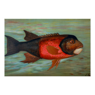 Póster Sacramento Pike por John L Petrie